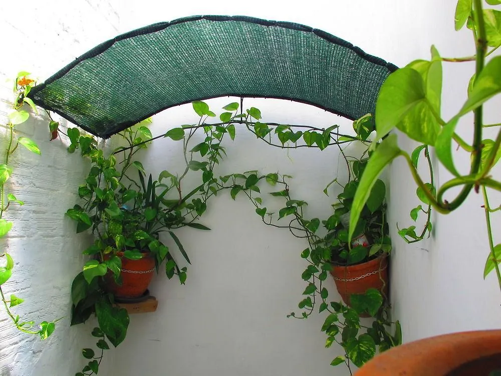 Atico, Terraza Y Barbacoa Aparthotel Barcelona